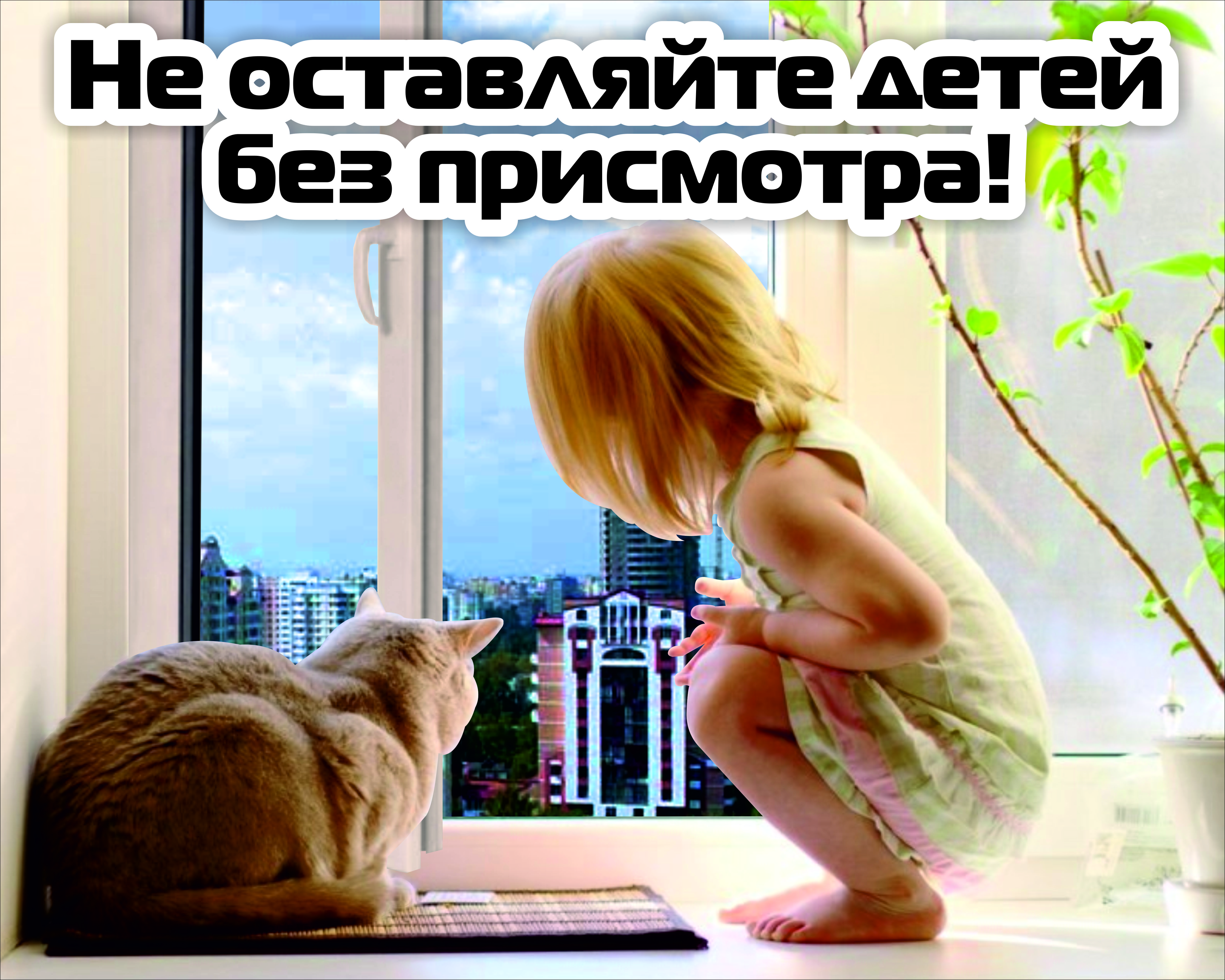 окна 1.jpg